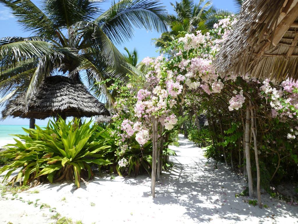 Paradise Beach Bungalows Паже Екстериор снимка